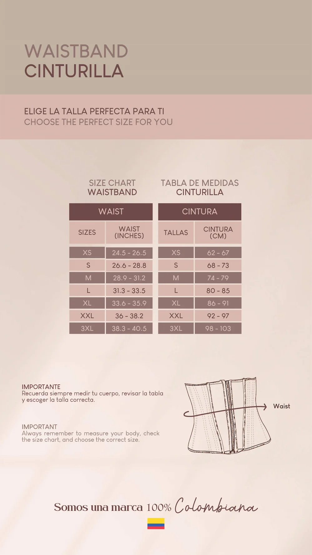 Producto ShapeConcept 51